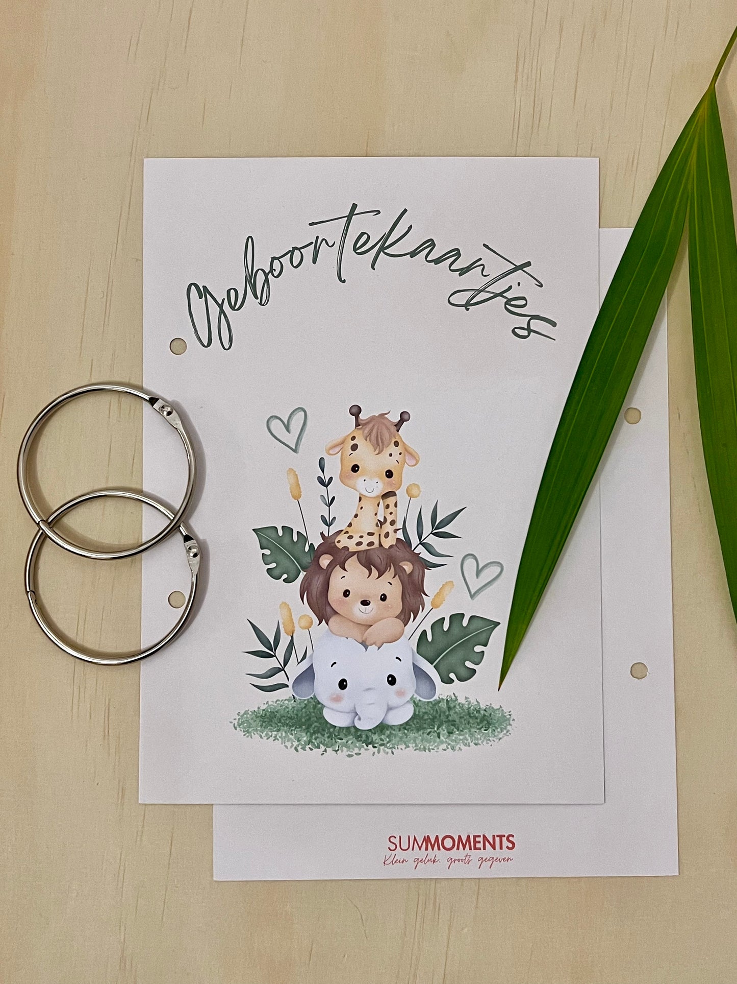 Bewaarbundel Geboortekaartjes