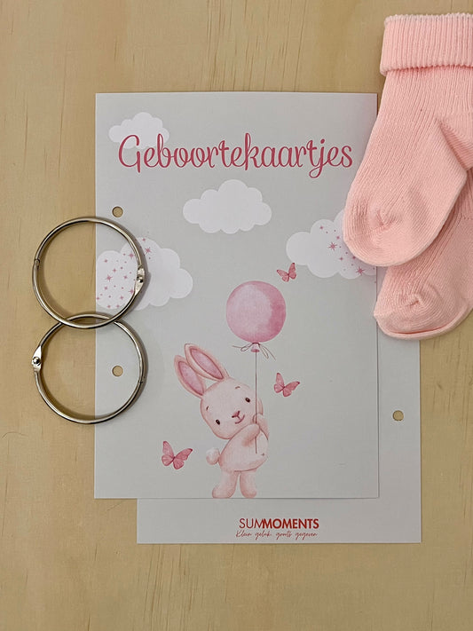 Bewaarbundel Geboortjekaartjes